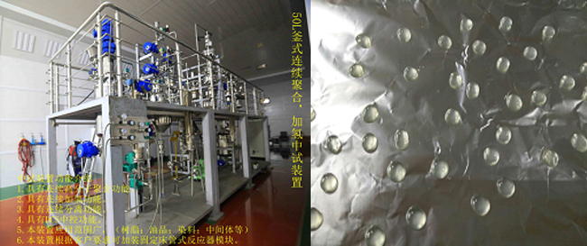 祝賀國(guó)內(nèi)首套釜式連續(xù)加氫中試成套裝置一次出料成功！.jpg